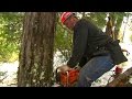 Risk Takers - 117 - Loggers | FULL LENGTH | MagellanTV Risk Takers - 117 - Loggers | FULL LENGTH | MagellanTV