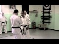 XXI Haru Gasshuku 2013;  Shihan Kazuyuki Hasegawa, Daihyo Sekai So kyokushin