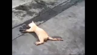 01000001 01111001 01110101 01100100 01100001