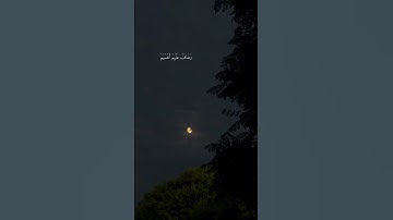 القران الكريم لا تخرج من هذا الفديو قبل أن تقول الحمد لله في ميزان حسناتك