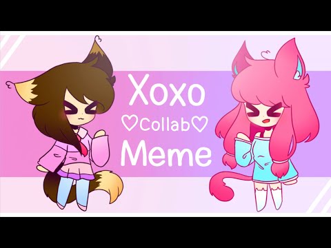 xoxo-|-animation-meme-|-flipaclip-|-collab
