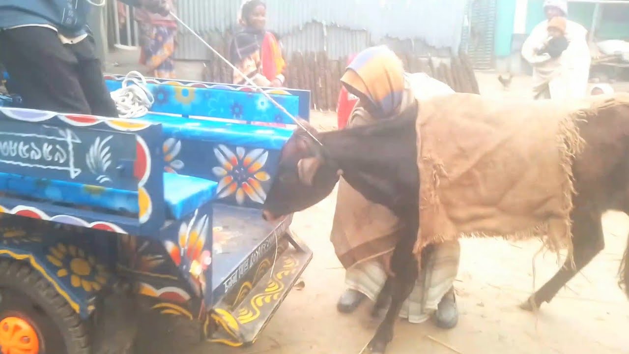 নতুন বছরে আরেকটি মাইলফলক জেনারেট হলো | Sujon Agro 