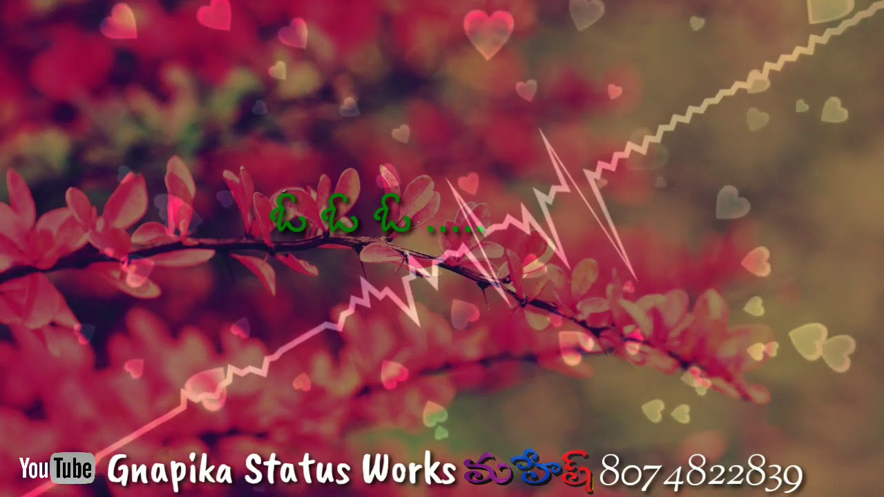 Chinna nati chelikaade super hit song by Gnapika Status Works 