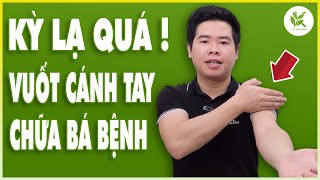 CHUYỆN LẠ ĐỜI  Vuốt Cánh Tay Mà Chữa Được Bá Bệnh | 3 Bước Dưỡng Sinh Giúp Cả Đời Không Bệnh | TCL