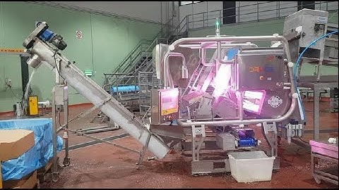 Dryce optical sorting machine for diced onions | Raytec Vision