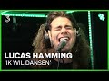 Lucas Hamming covert 'Ik Wil Dansen' van Froukje | 3FM Live Box | NPO 3FM Mp3 Song