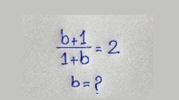 De GROOTSTE valkuil van de Wiskunde Olympiade: b=?