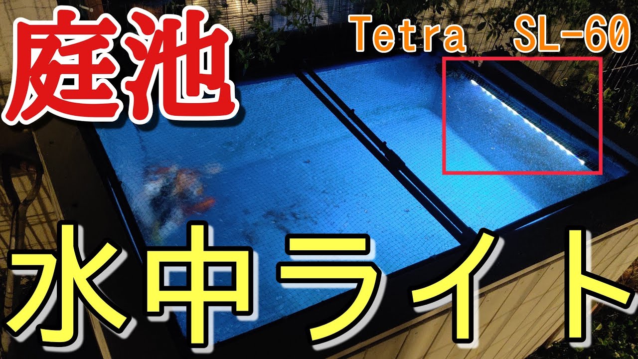 庭池で使ってます】コスパ抜群の水中ライト！テトラSL-60 - YouTube