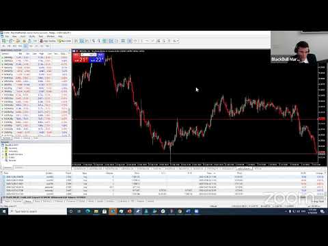 Live Forex Trading | NZ Open