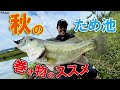 【RAID JAPAN】秋のため池巻き物のススメ