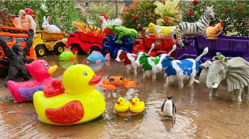 Wadidaw dump truk oleng warna warni angkut hewan lucu bebek angsa gorilla sapi kerbau ayam