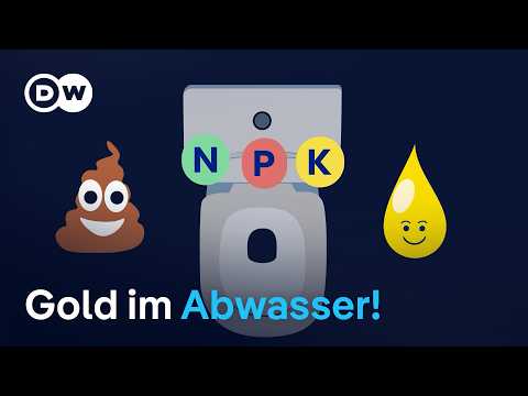Runtergespült: Der Dünger in menschlichen ...