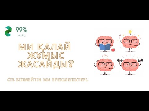 Ми қалай жұмыс жасайды? Сіз білмейтін ми ерекшеліктері. Zhuldyz | 99%