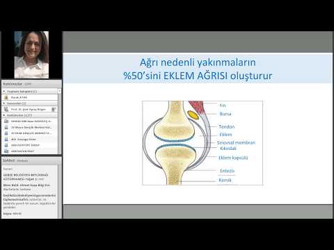 HİK - Sağlık Platformu Webinarlar Serisi 10. Webinar: Sık Görülen Kas ve İskelet Sistemi Sorunları