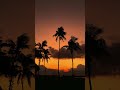 sunset..   #instrumental #cover