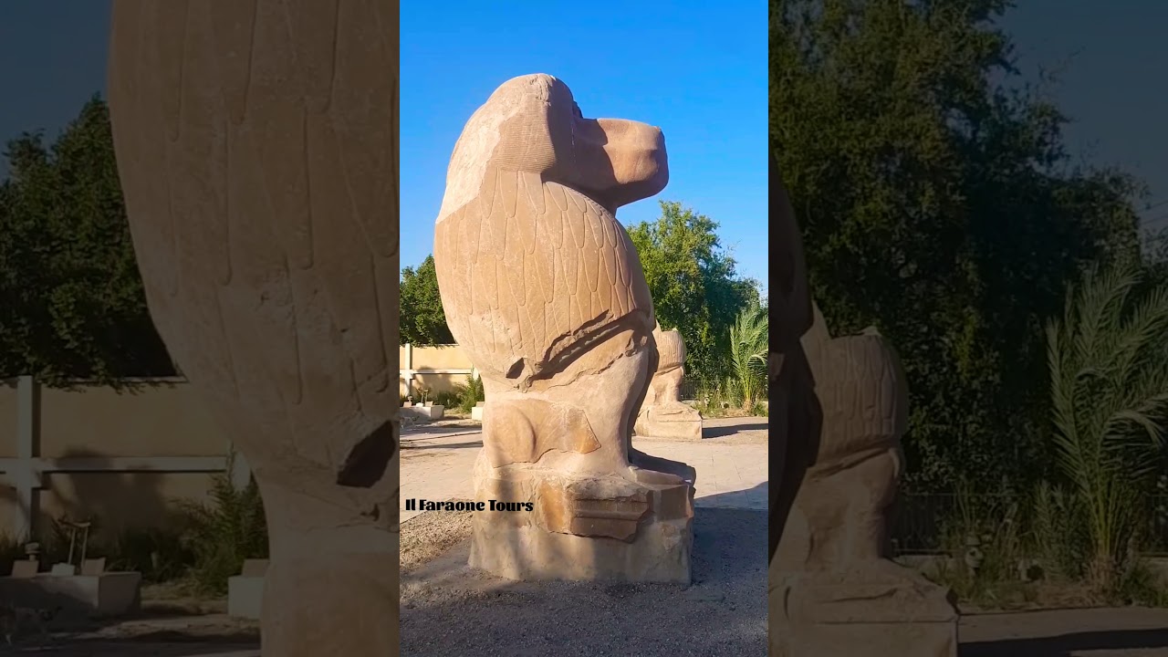 Al Ashmunin: Hermopolis Magna City of 