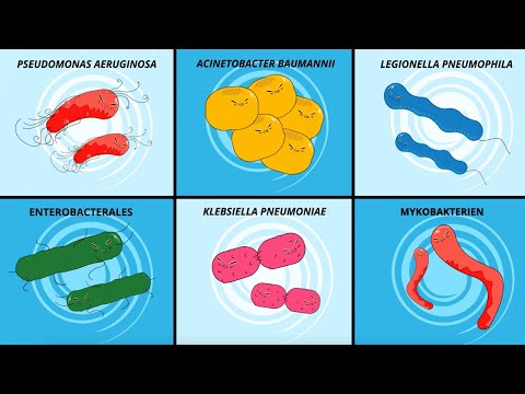 Video: Acinetobacter-Infektion verhindern – wikiHow