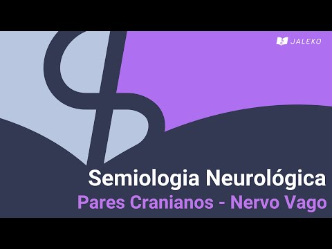 Vídeo: Nervo Vago: Anatomia E Função, Diagrama, Estimulação, Condições