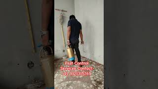 Pest Control Services #ad #pestcontrol #ytshorts