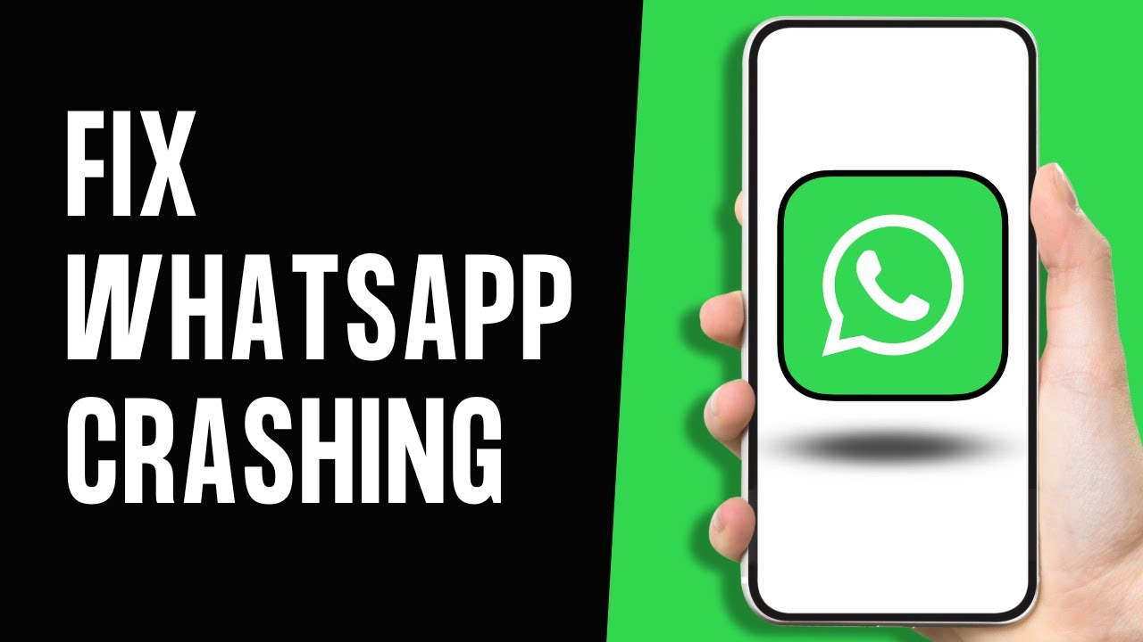 How To Fix WhatsApp Keeps Crashing Issue on Android (2024) - YouTube