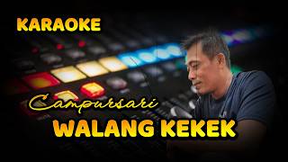 KARAOKE // WALANG  KEKEK / CAMPURSARI / COVER / NUGROHO SDN BHD