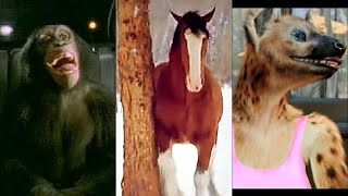 Funny Animals Commercials - Compilation 2