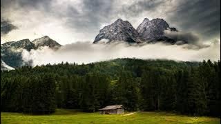 Be Still the Earth. Dreaming in Another Language