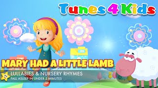 Mary Had a Little Lamb Lullaby for Babies to go to Sleep