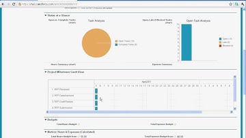 Salesforce.com RFP Process and Milestones PM App