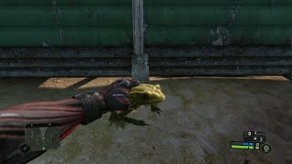 Best collateral kill EVER. 🐸