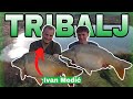 BRUTALAN RIBOLOV NA JEZERU TRIBALJ! BURA, SUNCE I ŠARANI
