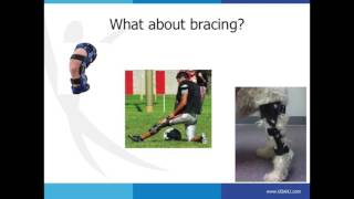 ACL ReInjury- Dr. Kenneth Swan