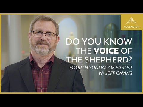 Video: Waarom goede herder zondag?