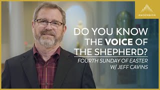 'Recognize the Voice of the Shepherd' — Jeff Cavins on Fourth Sunday of Easter
