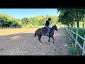 Aula de Doma - Como espinar cavalo
