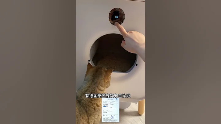 我家猫没见过世面的样子真逗 - 天天要闻