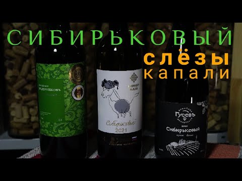 Вино Сибирьковый Ведерниковъ / Собер Баш / Винодельня Гусевъ. Винный эксперт Стефан Секулич.