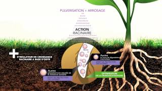 Programme Nutrition et Stimulation Frayssinet Agriculture