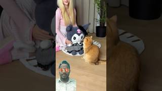 Smart Cat l Lovely Cat l Sad cat #yt #viral #cat #funny