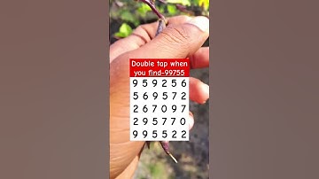 Double tap when you find-99755 #shorts #puzzlegame #brainteasers