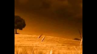 Sting - Fields of Gold (Karaoke)