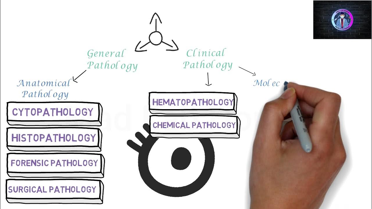 What is Pathology/Laboratory ? Urdu/Hindi Lecture 1 pathology 