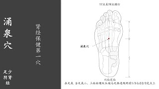 人体穴位189：涌泉：肾经保健第一穴，用力按揉涌泉穴100～200次，每天坚持，能够治疗头晕、小便不利 20220123.mp4