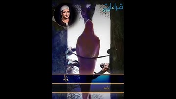 من أجمل ما قرآ الشيخ المنشاوي رحمه الله ✨ ما تيسر من سورة الفجر || " كلا ۖ بل لَا تكرِمون اليتيم " .