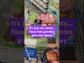 Focus Fuel gummies give me the energy I need without the crash #groceryhaul #usefocusfuel #focusfuel