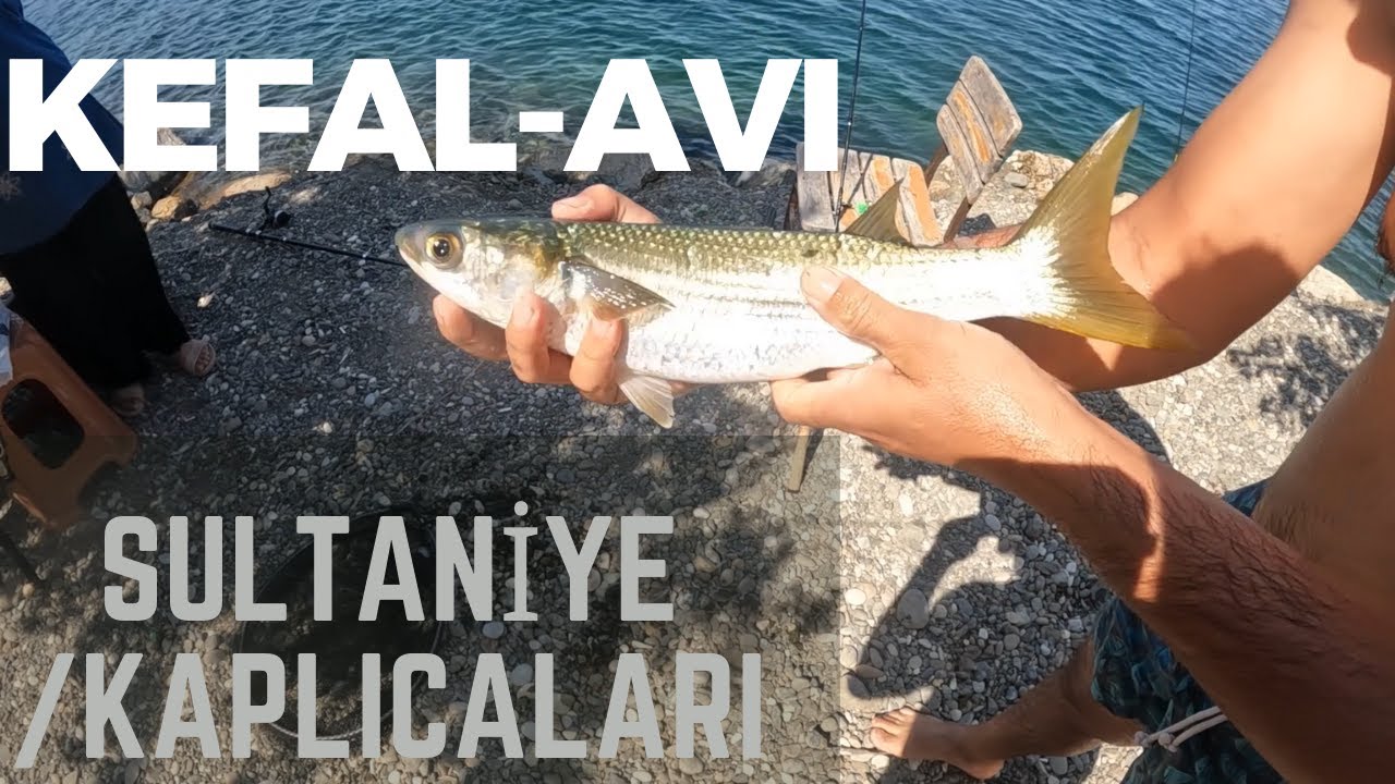 Kefal Avı/ Her Sene Daha Büyüğünü Yakalıyoruz