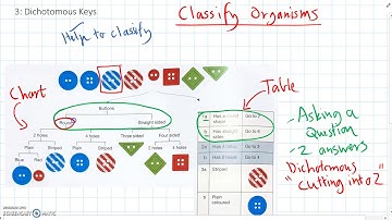 5 - Dichotomous Keys