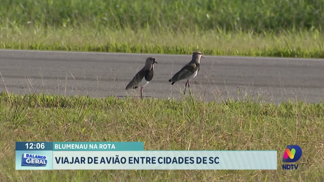 Blumenau na rota: viajar de avião entre cidades de SC