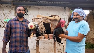 నాటు కోడి పులావ్ | Country Chicken Daawath | My Village Show Food | Anji Mama