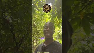 Policing the Mind: The Hidden Agenda of Police and Prisons